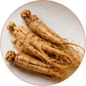 HorseFil™ Panax Ginseng Extract for Vitality