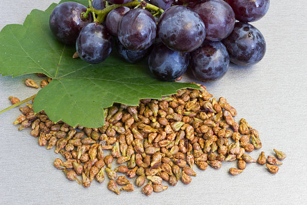HorseFil™ Grape Seed Extract for Antioxidant Support